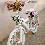 Apartmán Irene *